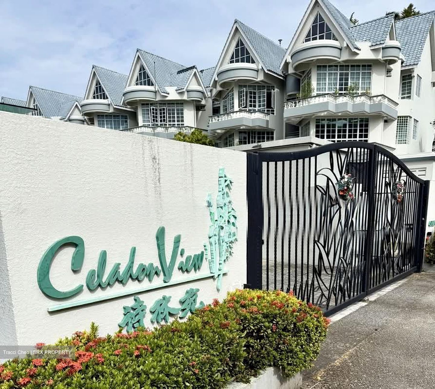 Celadon View (D17), Apartment #535587881
